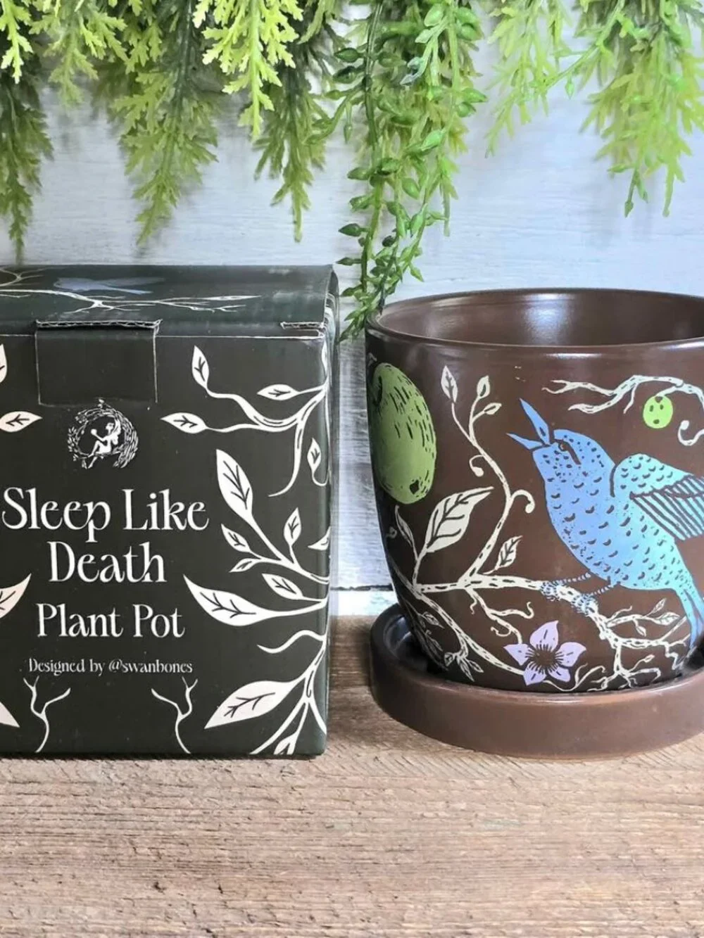 Fairyloot Sleep Like death by Kalynn Bayron Plant Pot with Birds Apples Book Box